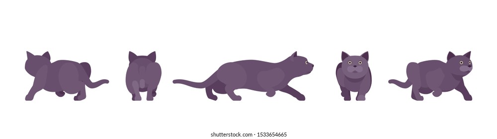 Black Cat sneaking. Active healthy kitten with dark, gray colored fur, cute funny pet, mystic bad luck omen. Vector flat style cartoon illustration isolated on white background, different views