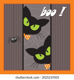 Black cat and spider illustration for halloween greeting card
