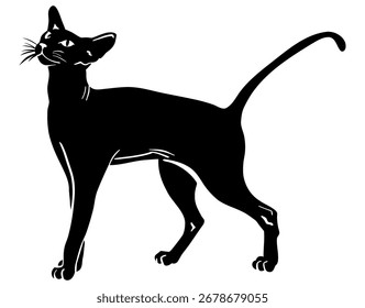  Black cat standing full length. Monochrome vector illustration of a pet. Isolated on a white background. Logo, tattoo, silhouette. Oriental breed