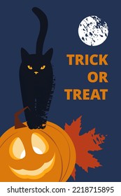 black cat standing on an orange halloween pumpkin