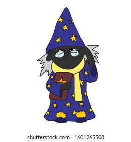 Black cat Stargazer in a blue robe and a book in his hand .Vector illustration.Form for banners, postcards.Animals