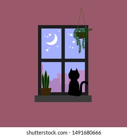 Black cat staring the moon and star on pastel purple sky through window decorated with house plants