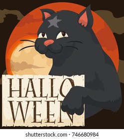 Black cat with a star-shaped in his forehead in a misty Halloween night holding a greeting sign and a full moon in the background.