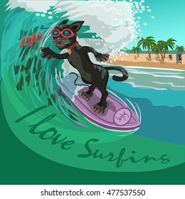 Black cat surfer on the wave