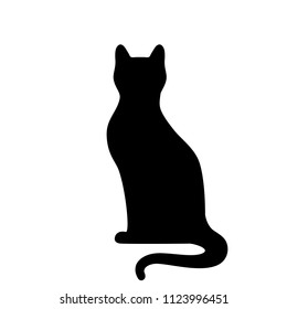 Black cat with tail sitting on white background