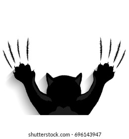 Black cat tearing background . 