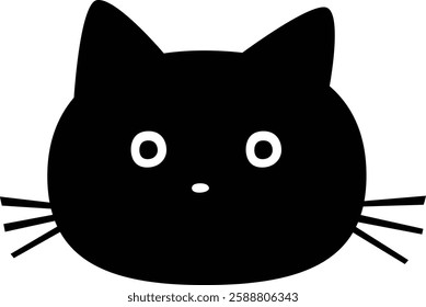 A black cat with three whiskers and round eyes