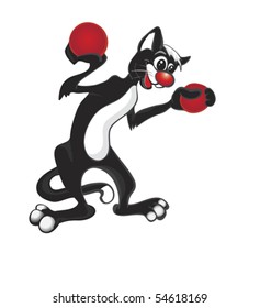 black cat with tomatoes