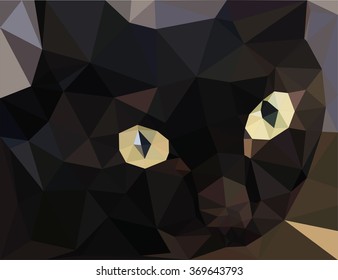 Black Cat, triangulation, polygons