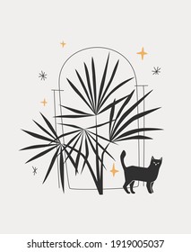 Black cat under Florida Silver Palm illustration. Black silhouettes of stars, palm tree and domestic cat over white background. Trendy fashionable design.