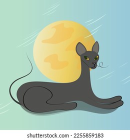 Black cat under the moon. A graceful cat sits in front of the moon in nature. Proud sphinx vector illustration.