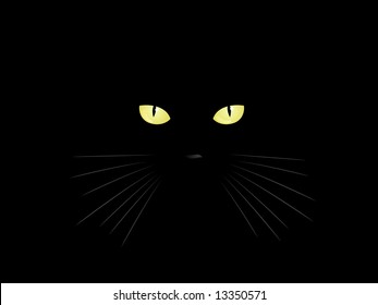 The Black Cat in an Unlit Room