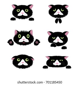 Black cat various moods faces on white background