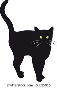 Black cat vector