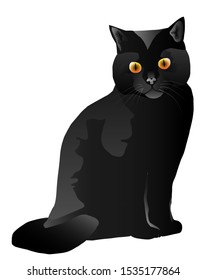 Black Cat Vector Drawing On A White Background 