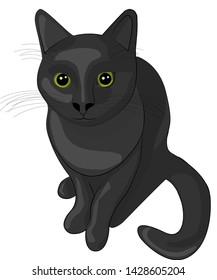 Black cat. Vector illustration. Cute animals