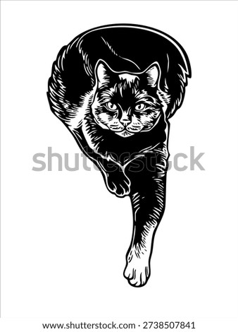 Black cat Vector illustration, hand drawn line art illustration, vintage engraving style, black and white isolated on white
