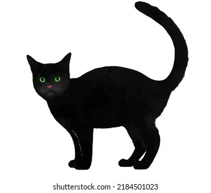 Black cat vector illustration. Black kitten on white background. Kitty hand drawn. Halloween decoration. Witch style picture. Aquarelle illustration. Clipart for logo, greeting card and design.