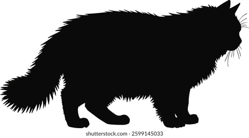black cat vector illustration silhouette