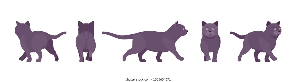 Black Cat walking. Active healthy kitten with dark, gray colored fur, cute funny pet, mystic bad luck omen. Vector flat style cartoon illustration isolated on white background, different views