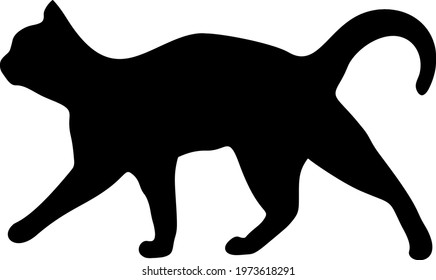 The black cat walks enthusiastically. Vector image.