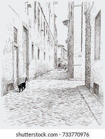 Black cat walks in the old town