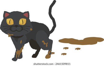 A black cat walks out of a mud puddle