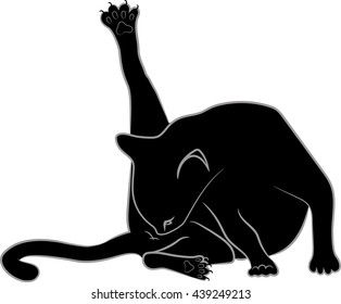 Black Cat washes isolated on white, vector illustration