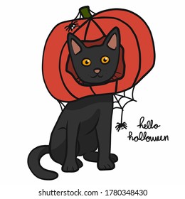 Black cat wear pumpkin head , Halloween concept cartoon vector illustration