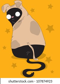 Black Cat Wearing Dog Costume