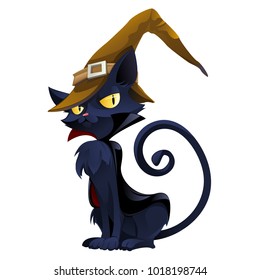 A black cat wearing witch hat