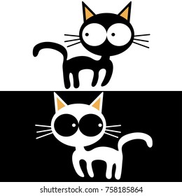 black cat and white cat