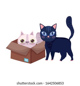 black cat and white cat in box cartoon pets vector illustration