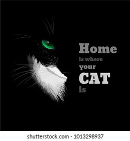 Black cat with a white chest and green eye