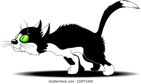 black cat with white spots is preparing to fight