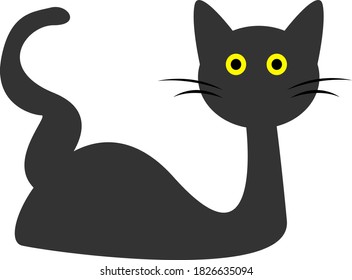 black cat will come to you on Halloween
