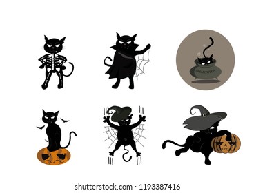 The black cat of the witch decided to celebrate the fall Halloween holiday himself, and dressed in different costumes