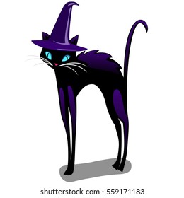 Black cat in witch hat. The attributes of the holiday Halloween isolated on white background. Vector cartoon close-up illustration.
