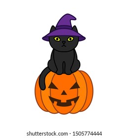 Black cat in a witch hat sits on a halloween pumpkin