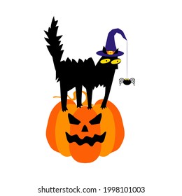 Black cat in a witch hat sits on a halloween pumpkin