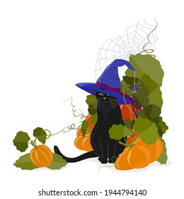 A black cat in a witch's hat sits in a pile of Halloween pumpkins. Corner composition for stickers, invitations, and banners. Vector illustration in cartoon style, isolated on a white background.