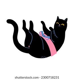 Black Cat Wrapped With Gift Ribbon