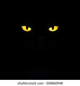 Black cat with yellow eyes.