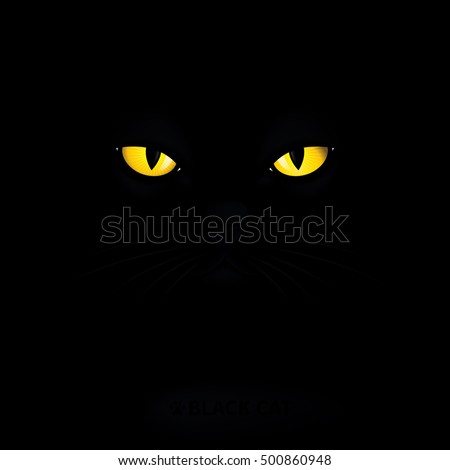 Black cat with yellow eyes.