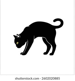 A Black Cat With Yellow Eyes Standing on a White Surface.