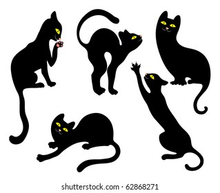 black cats