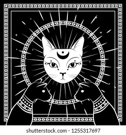 Black cats, cat face with moon on night sky with ornamental round frame.Magic, occult symbols. Witchcraft theme for t-shirt, textiles and print design. Vector illustration.