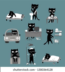 Black cat's daily routine