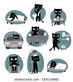 Black cat's daily routine