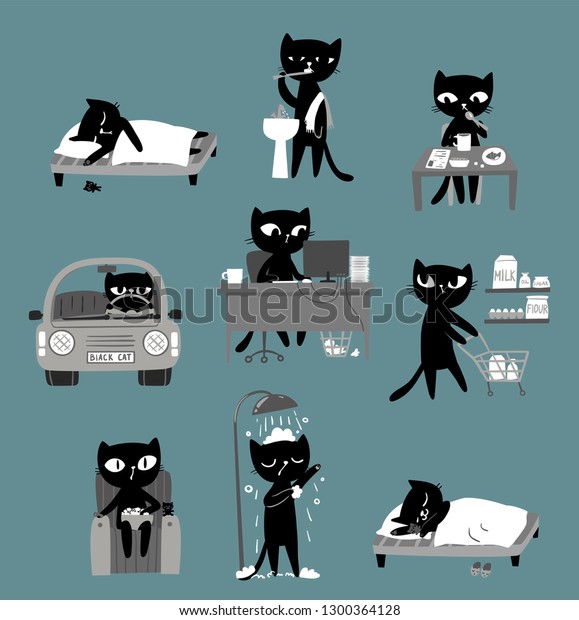 Black cat\'s daily\
routine